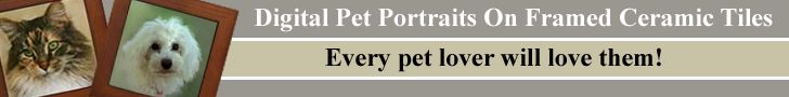 digital pet portraits